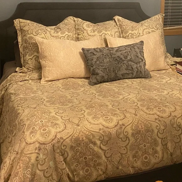 Pottery Barn Paisley Patterned Duvet and shams - Picture 3 of 4